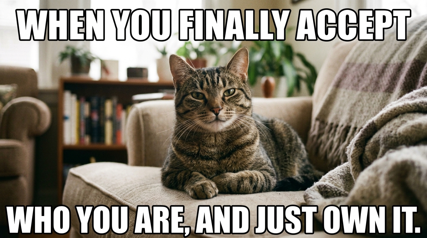 닥터모두 닥터노트 고양이